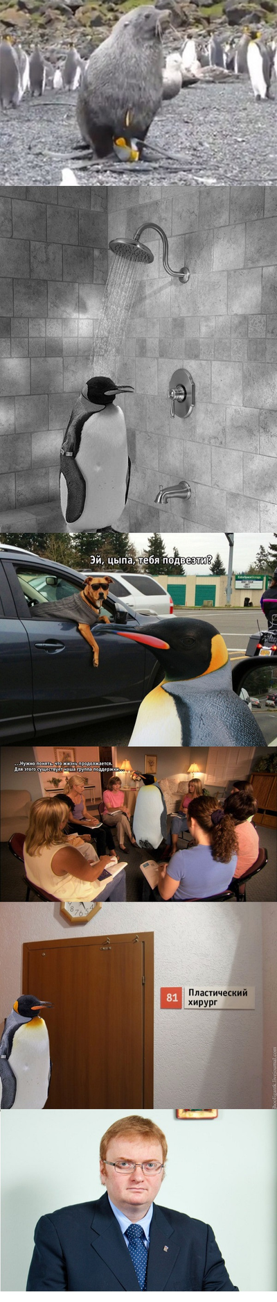 ����������� � �����������