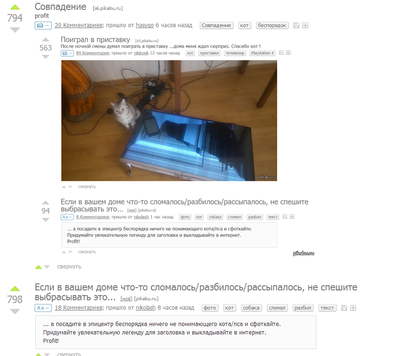 ����������� � �����������