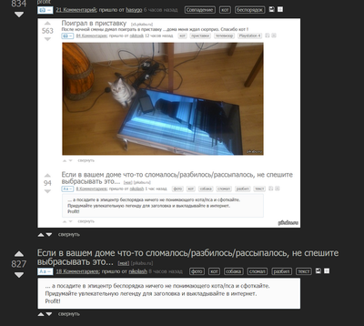 ����������� � �����������