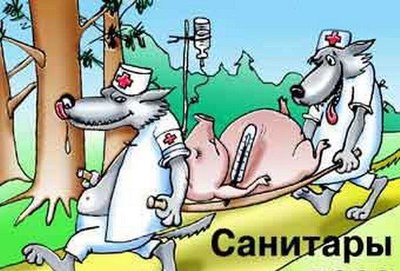 Что будет если не стричь барана. Смотреть фото Что будет если не стричь барана. Смотреть картинку Что будет если не стричь барана. Картинка про Что будет если не стричь барана. Фото Что будет если не стричь барана