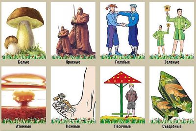 ����������� � �����������