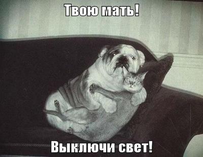 давай что то играть будем. Смотреть фото давай что то играть будем. Смотреть картинку давай что то играть будем. Картинка про давай что то играть будем. Фото давай что то играть будем