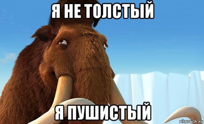 вот так выглядит полный песец. Смотреть фото вот так выглядит полный песец. Смотреть картинку вот так выглядит полный песец. Картинка про вот так выглядит полный песец. Фото вот так выглядит полный песец