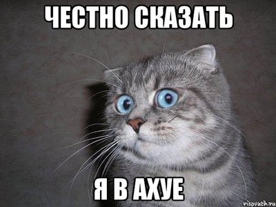 что стало с коллектором который поджег ребенка. Смотреть фото что стало с коллектором который поджег ребенка. Смотреть картинку что стало с коллектором который поджег ребенка. Картинка про что стало с коллектором который поджег ребенка. Фото что стало с коллектором который поджег ребенка
