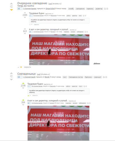 ����������� � �����������