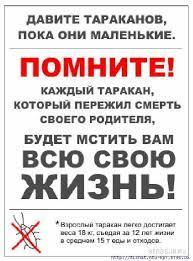 Если клопы замучили Если клопы замучили