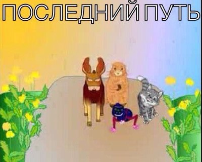 Что нибудь веселенькое видео. Смотреть фото Что нибудь веселенькое видео. Смотреть картинку Что нибудь веселенькое видео. Картинка про Что нибудь веселенькое видео. Фото Что нибудь веселенькое видео
