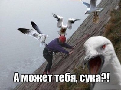 какая на вкус чайка. Смотреть фото какая на вкус чайка. Смотреть картинку какая на вкус чайка. Картинка про какая на вкус чайка. Фото какая на вкус чайка какая на вкус чайка. Смотреть фото какая на вкус чайка. Смотреть картинку какая на вкус чайка. Картинка про какая на вкус чайка. Фото какая на вкус чайка