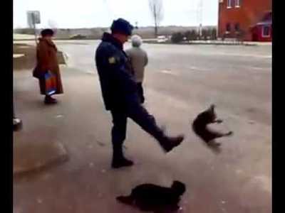 Ты что думаешь я с тобой шутки шучу. Ты что думаешь я с тобой шутки шучу фото. картинка Ты что думаешь я с тобой шутки шучу. смотреть фото Ты что думаешь я с тобой шутки шучу. смотреть картинку Ты что думаешь я с тобой шутки шучу.