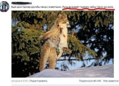 рыбка гоби любит пластик в каком городе. Смотреть фото рыбка гоби любит пластик в каком городе. Смотреть картинку рыбка гоби любит пластик в каком городе. Картинка про рыбка гоби любит пластик в каком городе. Фото рыбка гоби любит пластик в каком городе