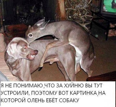 1445853981129266299