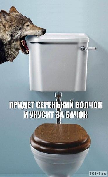 придет серенький волчок и подарит кабачок пикабу. Смотреть фото придет серенький волчок и подарит кабачок пикабу. Смотреть картинку придет серенький волчок и подарит кабачок пикабу. Картинка про придет серенький волчок и подарит кабачок пикабу. Фото придет серенький волчок и подарит кабачок пикабу