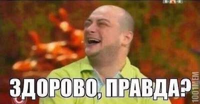 животные на футбольном поле. Смотреть фото животные на футбольном поле. Смотреть картинку животные на футбольном поле. Картинка про животные на футбольном поле. Фото животные на футбольном поле