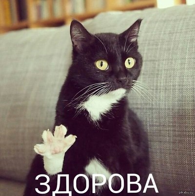 хэй привет я в курсе что ты. 144782813814964804. хэй привет я в курсе что ты фото. хэй привет я в курсе что ты-144782813814964804. картинка хэй привет я в курсе что ты. картинка 144782813814964804. Реперы #бланы Не знают как зарабатывать Мы с джефе на#бали лейбл лям за Один трек Добро пожаловать