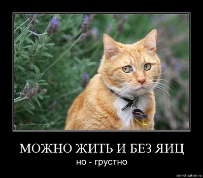 Что значит стать евнухом гарема для мужчин. Смотреть фото Что значит стать евнухом гарема для мужчин. Смотреть картинку Что значит стать евнухом гарема для мужчин. Картинка про Что значит стать евнухом гарема для мужчин. Фото Что значит стать евнухом гарема для мужчин