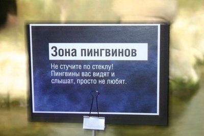 Чем кормить коршуна в домашних условиях. Смотреть фото Чем кормить коршуна в домашних условиях. Смотреть картинку Чем кормить коршуна в домашних условиях. Картинка про Чем кормить коршуна в домашних условиях. Фото Чем кормить коршуна в домашних условиях