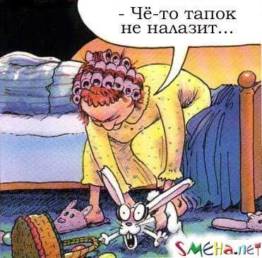 Во что переобуться в офисе. 1448295932155128864. Во что переобуться в офисе фото. Во что переобуться в офисе-1448295932155128864. картинка Во что переобуться в офисе. картинка 1448295932155128864.