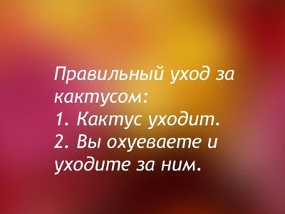 бегает по асфальту и таким образом стачивает свои когти. Смотреть фото бегает по асфальту и таким образом стачивает свои когти. Смотреть картинку бегает по асфальту и таким образом стачивает свои когти. Картинка про бегает по асфальту и таким образом стачивает свои когти. Фото бегает по асфальту и таким образом стачивает свои когти бегает по асфальту и таким образом стачивает свои когти. Смотреть фото бегает по асфальту и таким образом стачивает свои когти. Смотреть картинку бегает по асфальту и таким образом стачивает свои когти. Картинка про бегает по асфальту и таким образом стачивает свои когти. Фото бегает по асфальту и таким образом стачивает свои когти