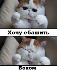 Что лучше ламборджини или мустанг