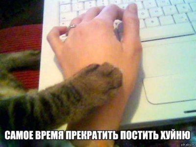 когда комментарии смешнее чем пост. Смотреть фото когда комментарии смешнее чем пост. Смотреть картинку когда комментарии смешнее чем пост. Картинка про когда комментарии смешнее чем пост. Фото когда комментарии смешнее чем пост