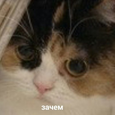 девушка извалялась в грязи и в таком виде пошла домой. Смотреть фото девушка извалялась в грязи и в таком виде пошла домой. Смотреть картинку девушка извалялась в грязи и в таком виде пошла домой. Картинка про девушка извалялась в грязи и в таком виде пошла домой. Фото девушка извалялась в грязи и в таком виде пошла домой