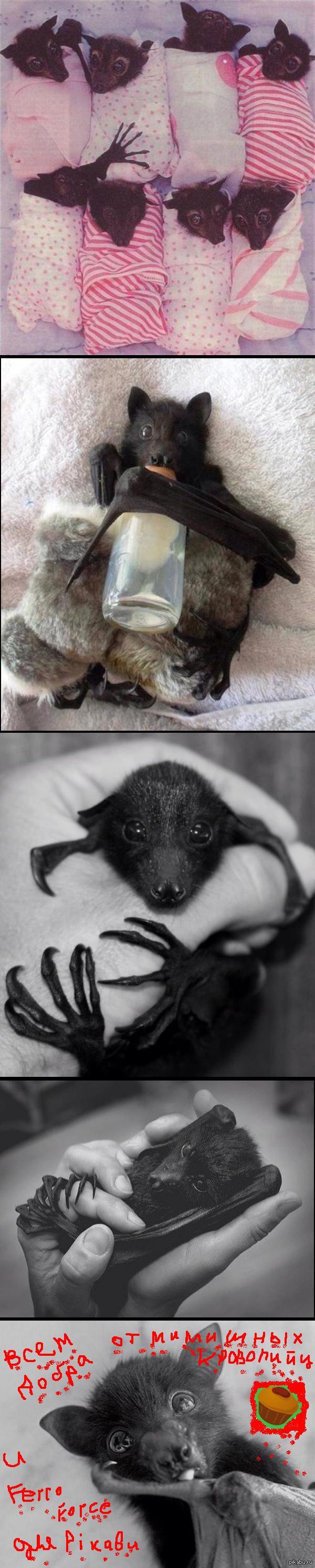 ������� ����� ^^