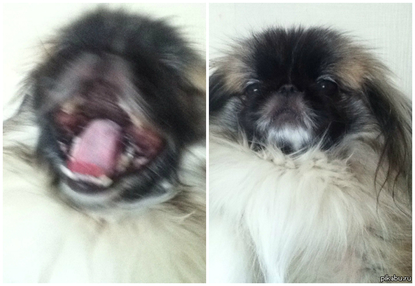 ������ � ����� ����� ������.