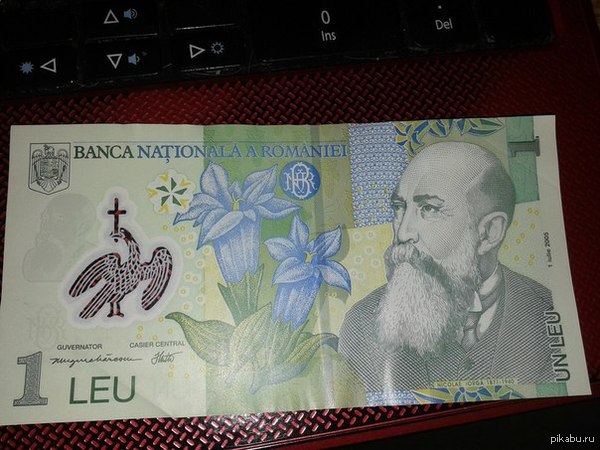 Румынская деньга.Её трудно порвать.
