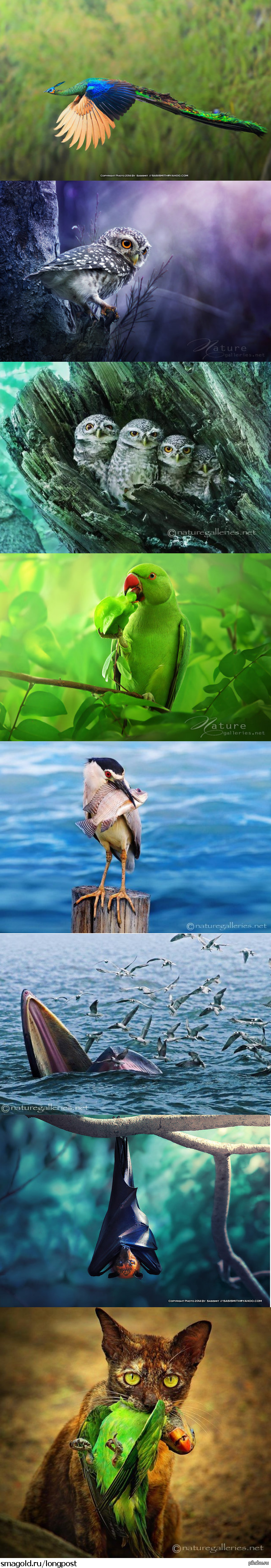 Красивые фото