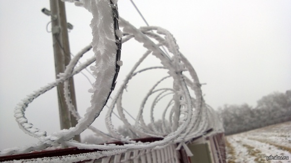 ������� *__*