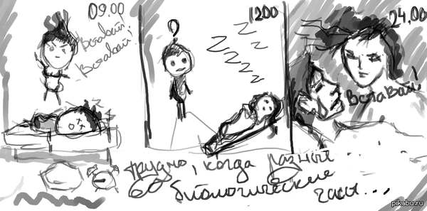 Вот так, каждый день. | Пикабу