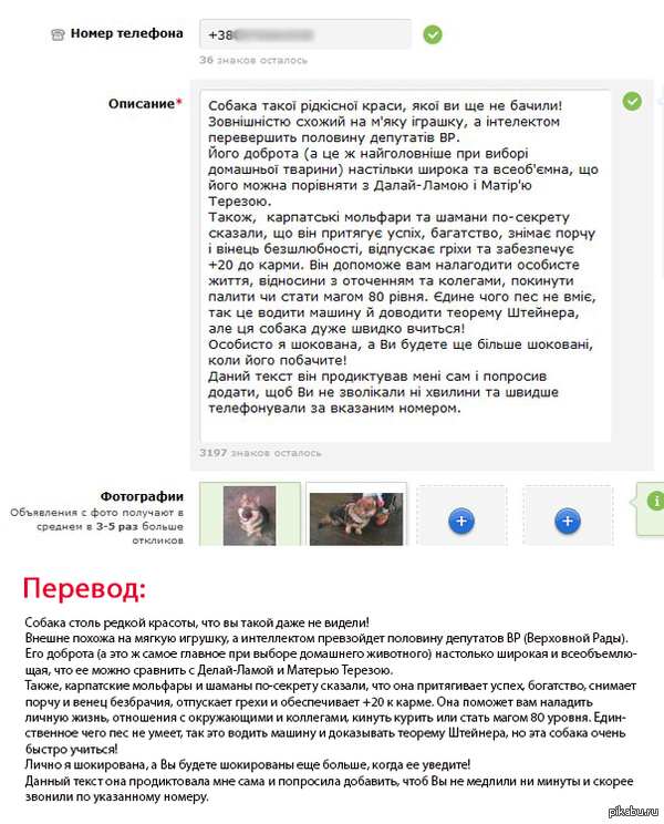 Как нужно отдавать собаку | Пикабу