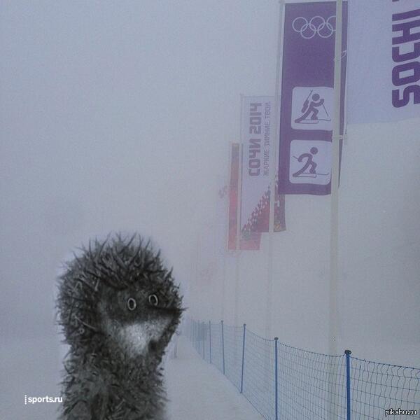 ����� �� ���������� ����������