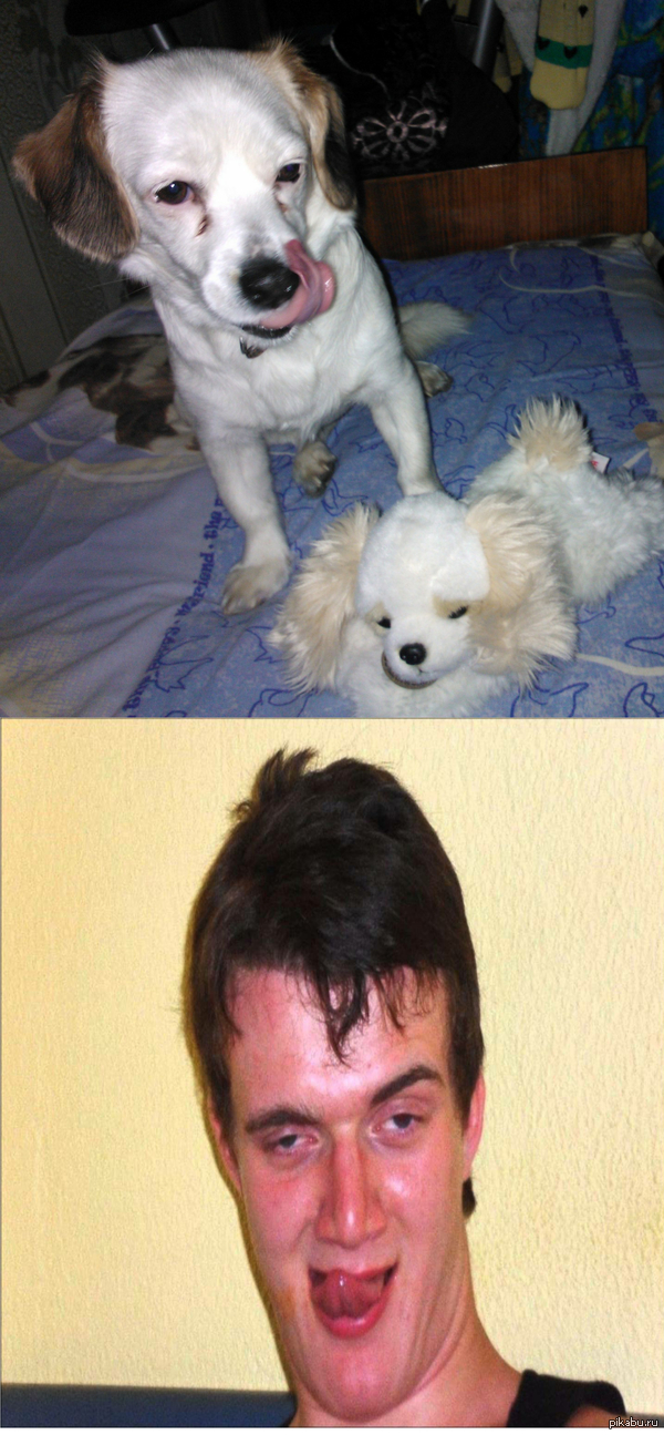 � ���� ������� �������� ������.