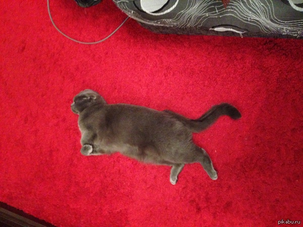 �� ��� ��� ����������� ������  , � ���� ����� . ���������� ����