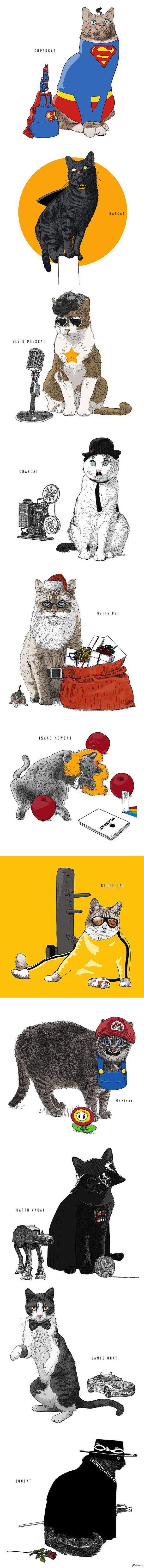 Знаменитости в виде котов