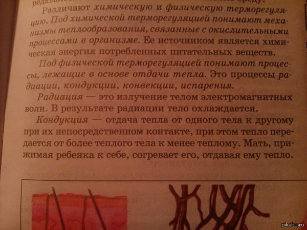  2   <a href="http://pikabu.ru/story/nemnogo_biologii_1987790">http://pikabu.ru/story/_1987790</a>