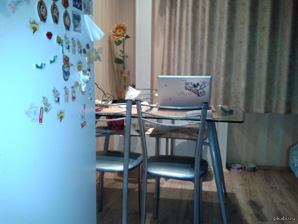 Найди котейку