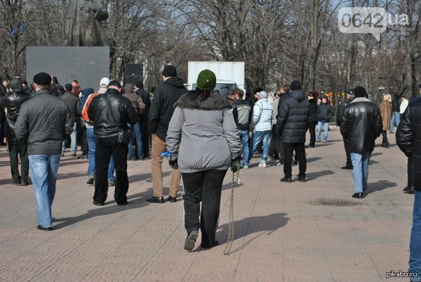 Титушка? Амазонка!