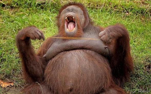 ������ ����