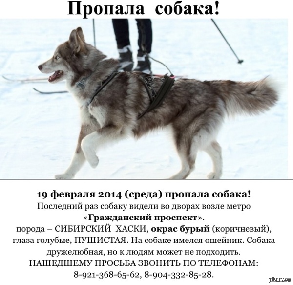 �����! ������� ������.