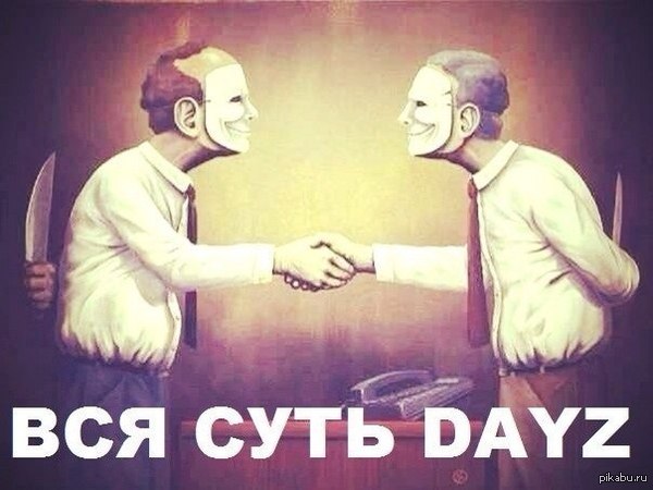  DayZ          ,       , .
