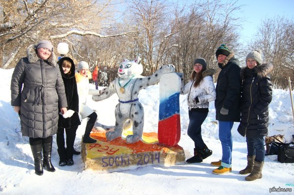 Самый известный котик последних двух недель)