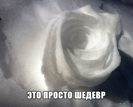 Снежные скульптуры. Букет цветов из снега. Как сделать розу из снега. Снежные скульптуры. Снежные рулоны.
