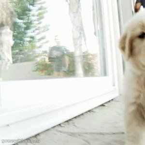 А я лапочка такой=)