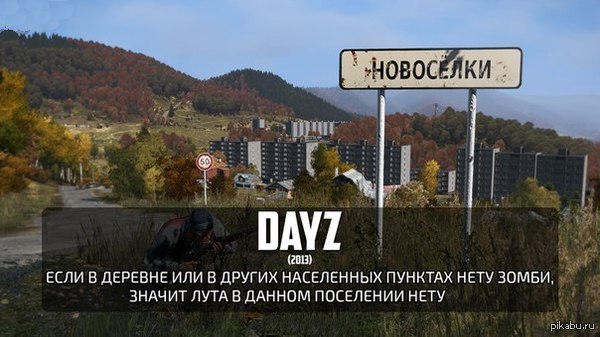   DayZ 