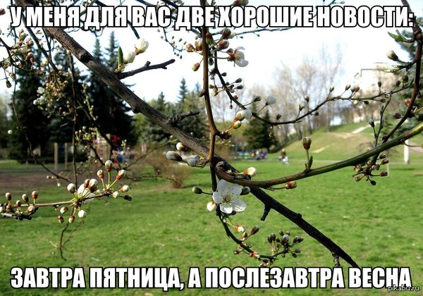 -       : <a href="http://pikabu.ru/story/zima_ubyivaet_2006549">http://pikabu.ru/story/_2006549</a>
