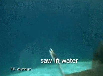 ΡΡΠ±Π° ΠΏΠΈΠ»Π° ΠΊΠ°ΠΊ ΠΎΡ
ΠΎΡΠΈΡΡΡ Π²ΠΈΠ΄Π΅ΠΎ. Π‘ΠΌΠΎΡΡΠ΅ΡΡ ΡΠΎΡΠΎ ΡΡΠ±Π° ΠΏΠΈΠ»Π° ΠΊΠ°ΠΊ ΠΎΡ
ΠΎΡΠΈΡΡΡ Π²ΠΈΠ΄Π΅ΠΎ. Π‘ΠΌΠΎΡΡΠ΅ΡΡ ΠΊΠ°ΡΡΠΈΠ½ΠΊΡ ΡΡΠ±Π° ΠΏΠΈΠ»Π° ΠΊΠ°ΠΊ ΠΎΡ
ΠΎΡΠΈΡΡΡ Π²ΠΈΠ΄Π΅ΠΎ. ΠΠ°ΡΡΠΈΠ½ΠΊΠ° ΠΏΡΠΎ ΡΡΠ±Π° ΠΏΠΈΠ»Π° ΠΊΠ°ΠΊ ΠΎΡ
ΠΎΡΠΈΡΡΡ Π²ΠΈΠ΄Π΅ΠΎ. Π€ΠΎΡΠΎ ΡΡΠ±Π° ΠΏΠΈΠ»Π° ΠΊΠ°ΠΊ ΠΎΡ
ΠΎΡΠΈΡΡΡ Π²ΠΈΠ΄Π΅ΠΎ ΡΡΠ±Π° ΠΏΠΈΠ»Π° ΠΊΠ°ΠΊ ΠΎΡ
ΠΎΡΠΈΡΡΡ Π²ΠΈΠ΄Π΅ΠΎ. Π‘ΠΌΠΎΡΡΠ΅ΡΡ ΡΠΎΡΠΎ ΡΡΠ±Π° ΠΏΠΈΠ»Π° ΠΊΠ°ΠΊ ΠΎΡ
ΠΎΡΠΈΡΡΡ Π²ΠΈΠ΄Π΅ΠΎ. Π‘ΠΌΠΎΡΡΠ΅ΡΡ ΠΊΠ°ΡΡΠΈΠ½ΠΊΡ ΡΡΠ±Π° ΠΏΠΈΠ»Π° ΠΊΠ°ΠΊ ΠΎΡ
ΠΎΡΠΈΡΡΡ Π²ΠΈΠ΄Π΅ΠΎ. ΠΠ°ΡΡΠΈΠ½ΠΊΠ° ΠΏΡΠΎ ΡΡΠ±Π° ΠΏΠΈΠ»Π° ΠΊΠ°ΠΊ ΠΎΡ
ΠΎΡΠΈΡΡΡ Π²ΠΈΠ΄Π΅ΠΎ. Π€ΠΎΡΠΎ ΡΡΠ±Π° ΠΏΠΈΠ»Π° ΠΊΠ°ΠΊ ΠΎΡ
ΠΎΡΠΈΡΡΡ Π²ΠΈΠ΄Π΅ΠΎ