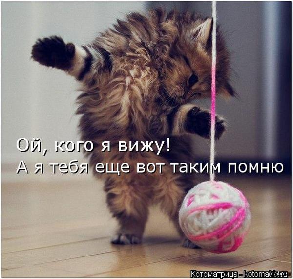 ������ � �������