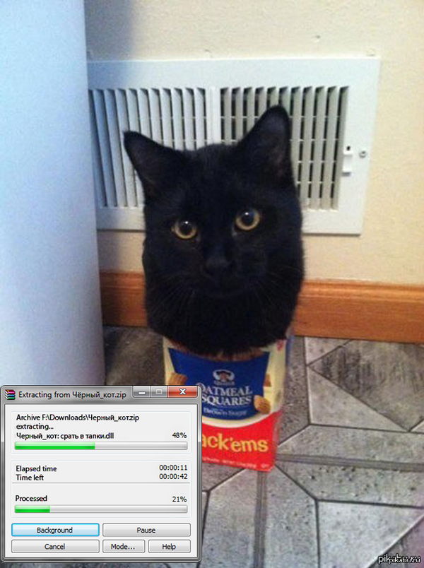 Разархивирование кота